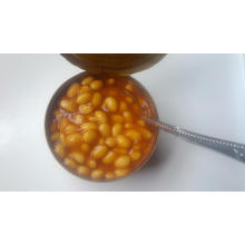 Delicious Canned Baked Beans in Tomato Sauce